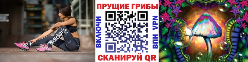 купить наркотики цена Славянск-на-Кубани Галлюциногенные грибы мухоморы